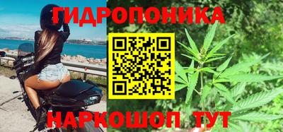 шишки Сланцы
